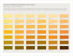 pantone color chart template 7 free word excel pdf