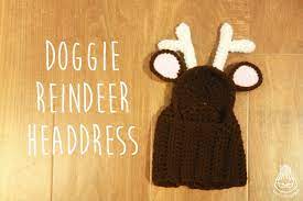 Knot Yo Grandma Crochet Reindeer Crochet Dog Sweater Crochet Dog Hat