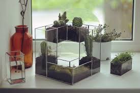 Vente Geometricnyj Vente De Plantes De Terrarium Maison Terrarium Verre Terrarium Geometrique Idees Terrariums