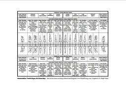 Tooth Organ Relationship Chart Tooth Extraction Aftercare