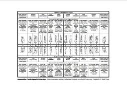 tooth organ relationship chart tooth extraction aftercare