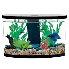 Check spelling or type a new query. Top Fin Harmony Vivid View 360 Aquarium 2 Gallon Fish Aquariums Petsmart