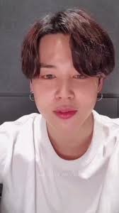 Bts Jimin Dan Rosa