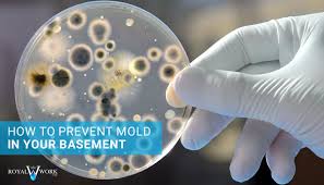 Ideally, you want to keep the humidity level in your house below 60 percent to prevent mold growth. How To Prevent Mold In Your Basement
