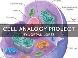 We did not find results for: Cell Analogy Project By Jordan Lopez