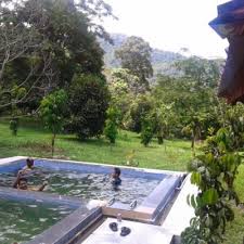 Homestay langkawi, mangrove tour di langkawi, homestay untuk 10 orang, kereta sewa, homestay dengan kolam renang, homestay rumah teres, chalet langkawi percutian seisi keluarga dan terdapat pelbagai tempat2 menarik seperti cable car, taman burung, underwater world langkawi. Homestay Safana Inap Dusun Merbok Ada Kolam