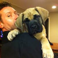 Dennis Krumpfer Email & Phone Number