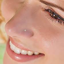 Pin By Arhan On C Small Nose Studs Nose Piercing Stud Nose Stud