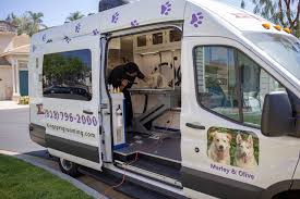 2072 salvio st, concord, ca 94520. King S Mobile Pet Grooming Spa Home Facebook