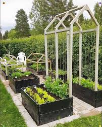 Pin By Janet Wolken On Garden Backyard Vegetable Gardens Vegetable Garden Design Plants