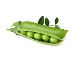 Check spelling or type a new query. Dwarf Pea Plant Pods Click Grow
