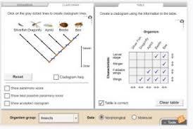 An answering provider, unlike an automatic answering machine along with a recorded message, will present your potential consumers cell phone responses with a real voice in the event the answers adopt the concerns. Cladograms Gizmo Answers Quizlet