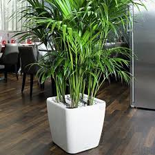 Quadro Self Watering Plastic Pot Planter Large Indoor Planters Self Watering Plants Self Watering Planter