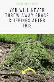 9 Things To Do With Grass Clippings You Probably Never Thought Of Grass Clippings Gardening For Beginners Gardening Tips
