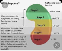 Pin By Tamara Cooper On Ckd Diet Menus In 2020 Kidney Health Kidney Disease Diet Chronic Kidney Disease Diet