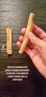 Is Palo Santo Really Endangered? | Ecuadorianhands