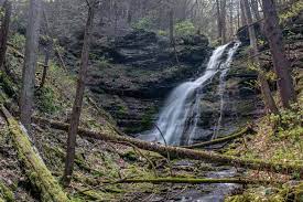 Maybe you would like to learn more about one of these? Hiking The Bohen Falls Trail In The Pa Grand Canyon Uncovering Pa