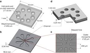This objective will address how to detect chemical agents using m9 detector paper. Prototype Chemical Synapse Chip For Spatially Patterned Neurotransmitter Stimulation Of The Retina Ex Vivo Microsystems Nanoengineering
