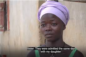 15 Notable Rose Library Collections Newly Available for Fall 2023