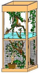See more ideas about chameleon cage, chameleon, chameleon enclosure. 45 Chameleon Habitat Cage Examples Ideas Chameleon Chameleon Cage Chameleon Enclosure