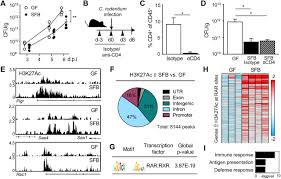 Download archive_infected.rar for free from ufile.io instantly, no signup required and no popup ads. Commensal Bacterial Derived Retinoic Acid Primes Host Defense To Intestinal Infection Biorxiv