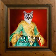 Pet cat or dog portrait. Cat Portraits Ireland Design Yours Online Picture Parcel