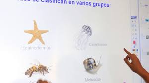 Check spelling or type a new query. Aula Interactiva Ahorre Tiempo En La Elaboracion De Recursos Para Las Clases Youtube