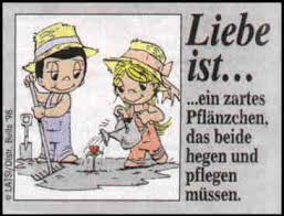 Liebe Ist Ein Zartes Pflaenzchen Das Beide Hegen Und Pflegen Muessen Liebe Liebe Ist Cartoon Ich Liebe Dich Zitate