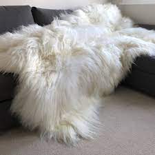 Genuine real sheepskin rug ivory sheepskin rug single pelt wool fur throw floor rug 2 x 3 free shipping this sheepskin rug measures approximately 2ft x 3ft on the fur side. Icelandic Sheepskin Long Fur Rug 100 Natural White Throw All Sizes Wildash London