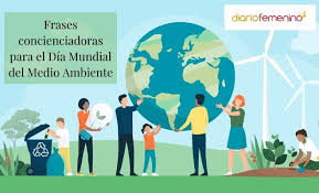 Toda la información, imágenes, videos y enlaces. 106 Frases De La Naturaleza Para El Dia Mundial Del Medio Ambiente