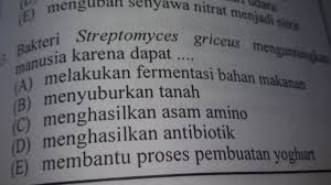 Bakteri Streptomyces Griceus Menguntungkan Manusia Karena Dapat Brainly Co Id