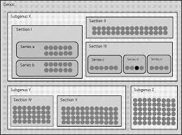 Image result for Sphenostylis briartii