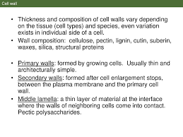 Cell wall is rigid and strong, cell bursting is prevented turgor is present because: Structure Biogenesis And Expansion Ppt Download