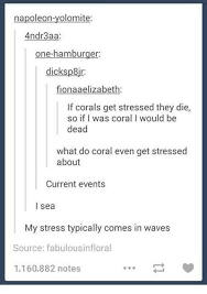 If they don't all make you laugh then certainly many of them will. 23 Puns From Tumblr That Are Bound To Make You Laugh Funny Relatable Memes Stupid Funny Tumblr Funny