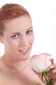 446 Pink Roses Isolated Photos, Pictures And Background Images For Free  Download