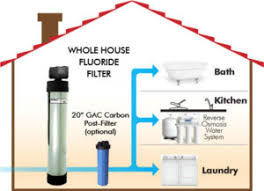 Top 5 Best Whole House Water Filtration System Reviews In 2020