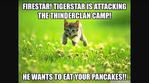 Collection by iden ash • last updated 3 days ago. Warrior Cat Memes Google Search Warrior Cat Memes Cat Memes Cat Memes Clean