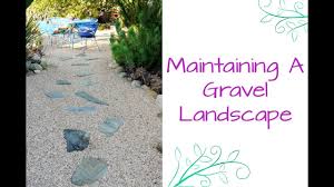 The problem with grass and weeds in the driveway is it makes it harder to rake up debris, which i need to keep cleared so i don't trip on it, and also it grows in tufts that i tend to. Maintaining A Gravel Landscape Youtube