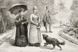 Check spelling or type a new query. Queen Victoria S Pets Animals From Dashy The Dog To Regent S Park Zoo Historyextra