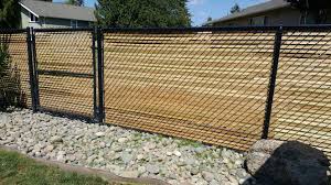 Cedar Slats In Chain Link Fence Chain Link Fence Fence Design Fence