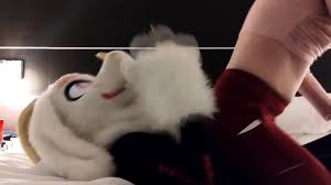 Compilation De Pets En Fursuit 1 (mavsharkie) - EPORNER