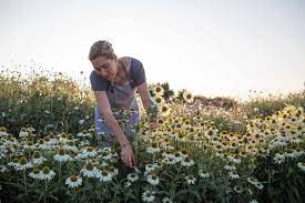 A year in flowers book review. A Year In Flowers New Book By Erin Benzakein Cloverhome