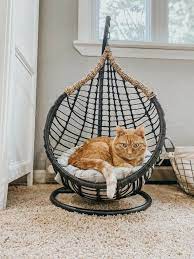pin by io on penelope and stuart hanging chair hanging decor