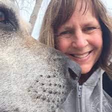 TOP 10 BEST Shipping Centers near Kingsford, MI