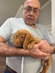 Benji got the puppy spa treatment today 💙