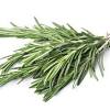 This diy rosemary mint soap is not only easy, it smells so wonderful that your friends and family will surely be impressed. 1