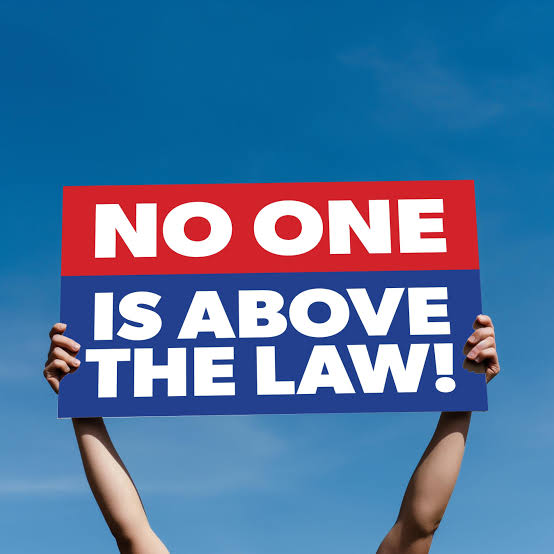 No One is Above the Law | Printable | Large 17x11 and 24x18 | Protest Sign  - Etsy