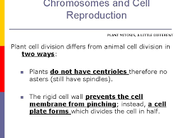 We did not find results for: Chromosomes And Cell Reproduction Cell Division Mitosis Chromosomes