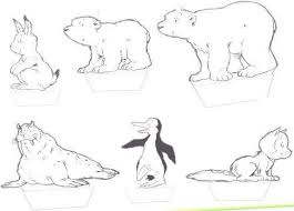 6093c855ee431f171963b100c5f3f737 Jpg 500 359 Kleiner Eisbar Lars Der Kleine Eisbar Eisbar