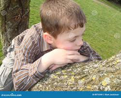 2,021 Branch Thinking Stock Photos